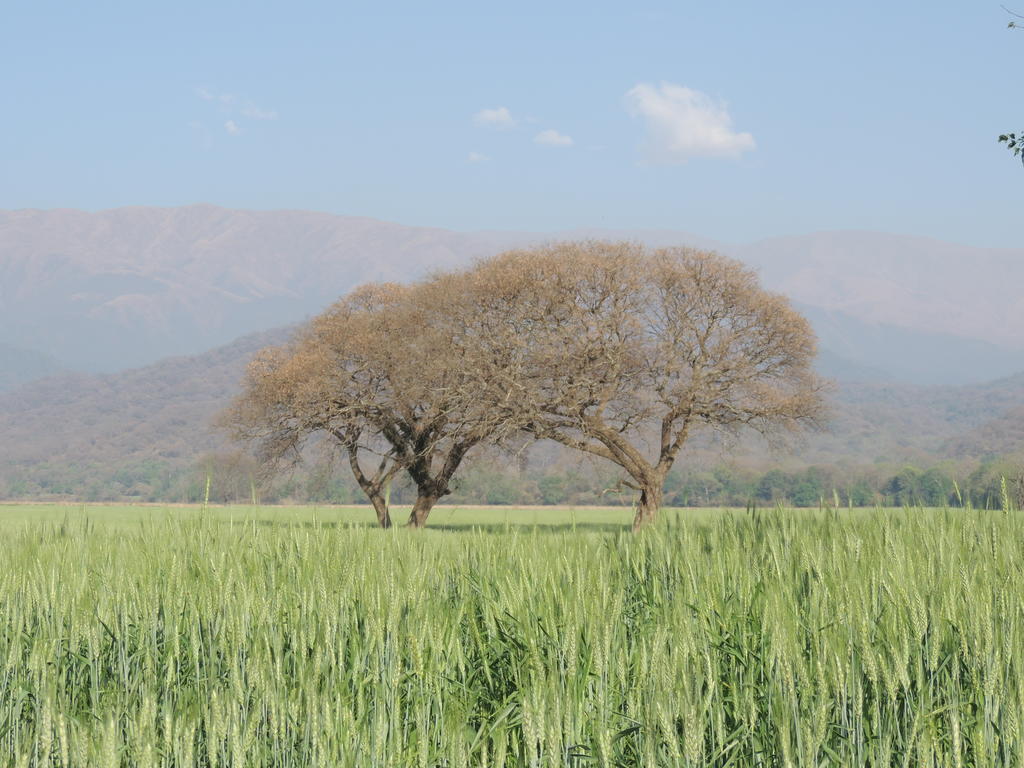 Chicoana Finca Las Margaritas المظهر الخارجي الصورة