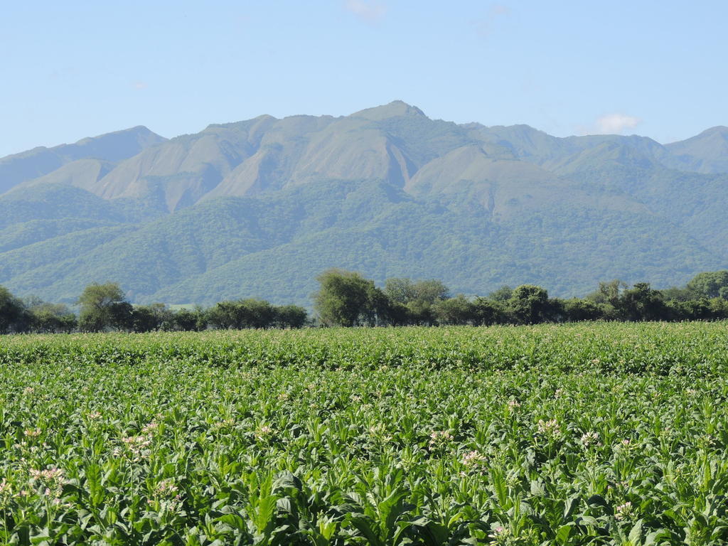 Chicoana Finca Las Margaritas المظهر الخارجي الصورة