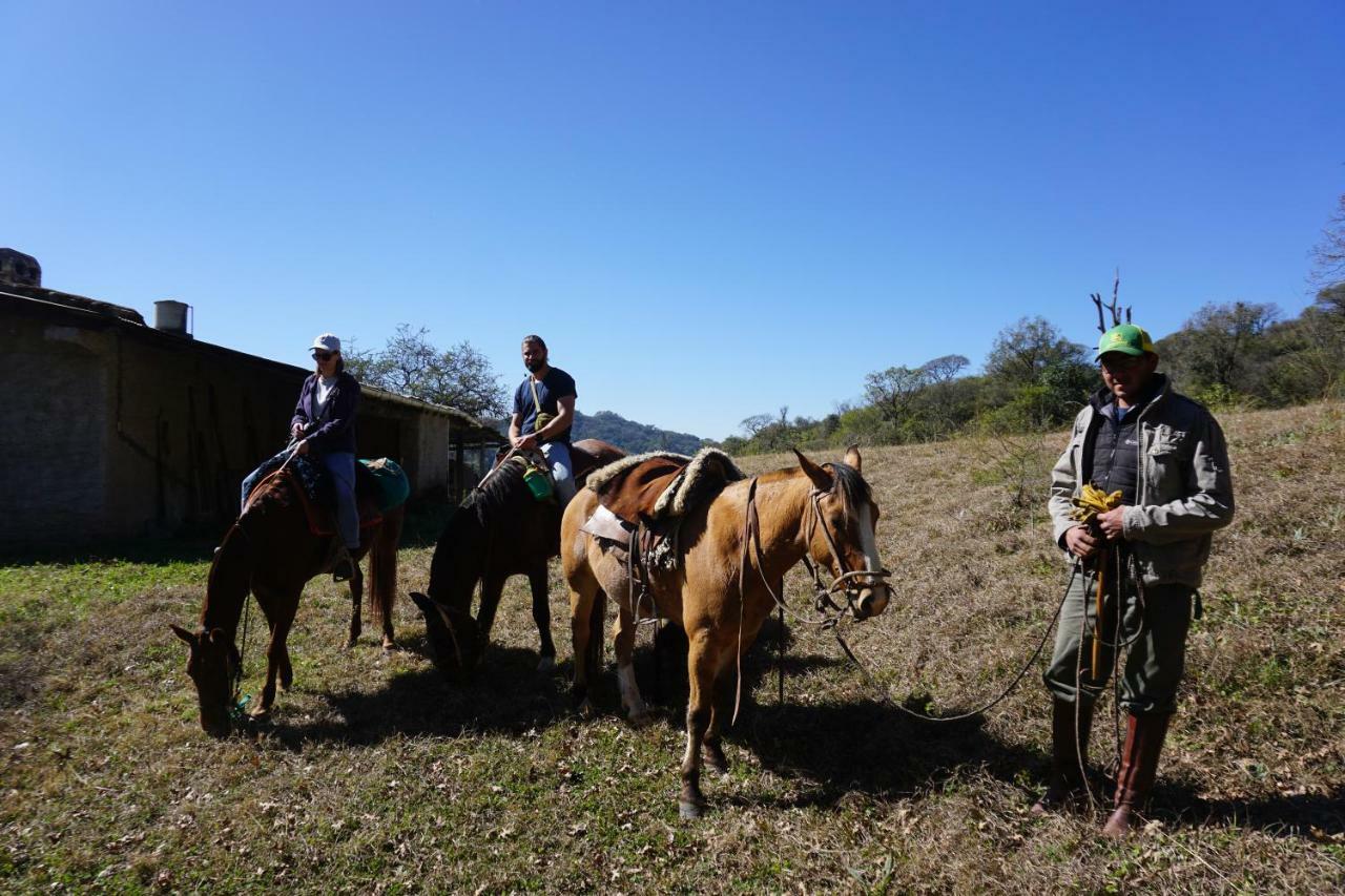 Chicoana Finca Las Margaritas المظهر الخارجي الصورة