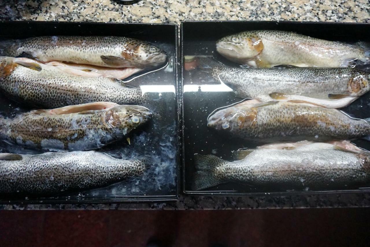 Chicoana Finca Las Margaritas المظهر الخارجي الصورة