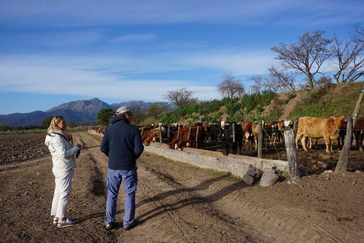 Chicoana Finca Las Margaritas المظهر الخارجي الصورة