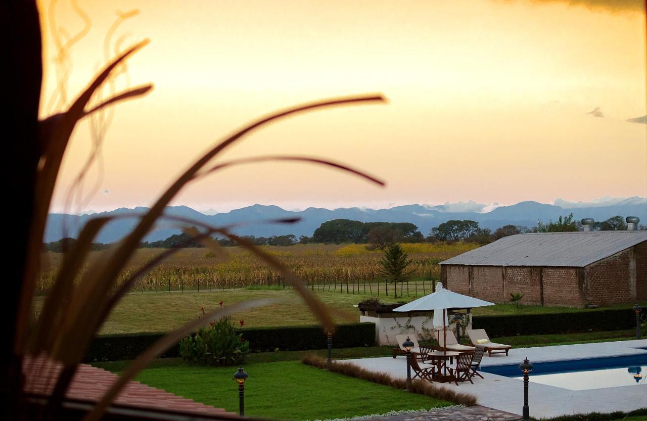 Chicoana Finca Las Margaritas المظهر الخارجي الصورة